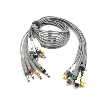2104724-002 ECG สายนําและสายลํา 10 สายนํา